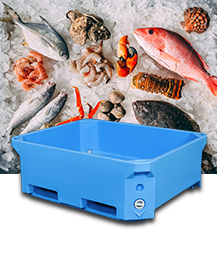 Storage Containers Are Critical In Cold Chain Logistics