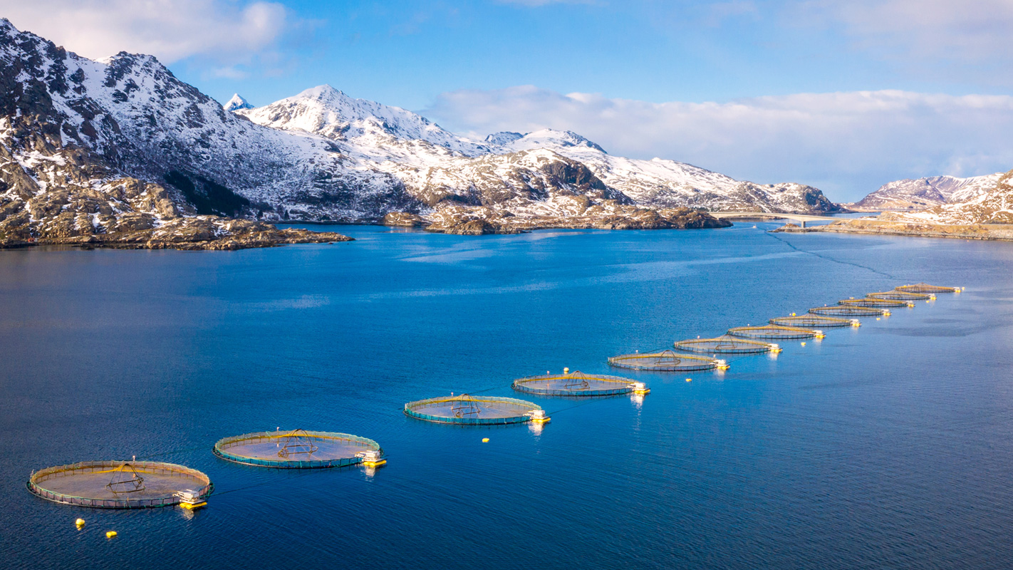 To solve the pain points of aquaculture, RAS circulating water technology leads the future development direction of aquaculture