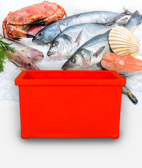 Ice Cooler Box