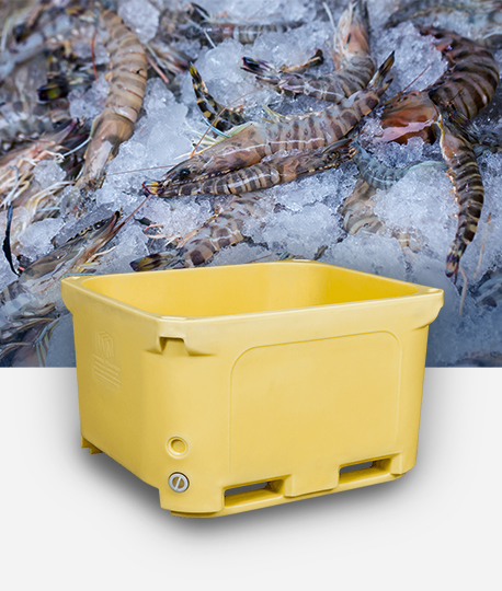 What is the key role of cold chain containers in food transportation?