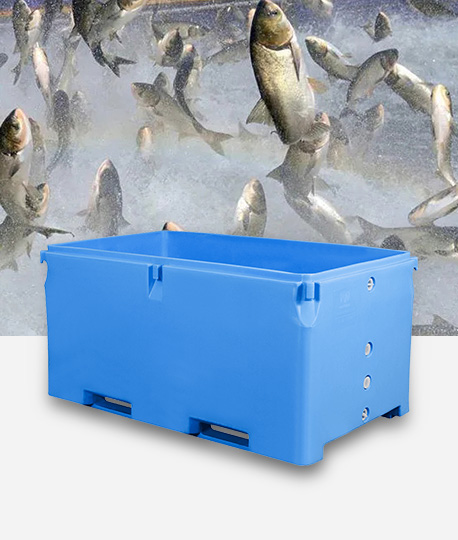 What impact does the material selection of live fish transport containers have on the survival of fish during transportation?