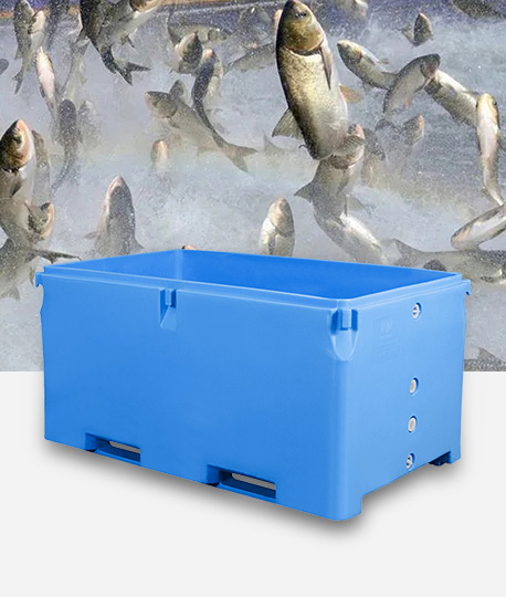 Long Distance Live Fish Transportation Containers