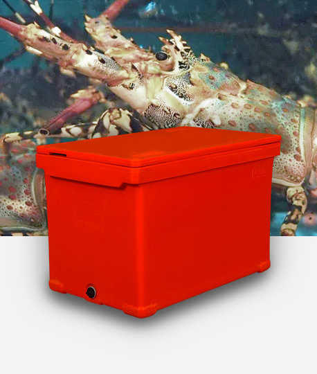 Live Seafood Farming & Transportation Tanks