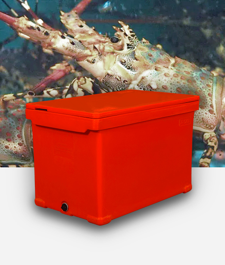 Are there any Insulated Seafood Containers that can be reused?